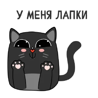 🐾