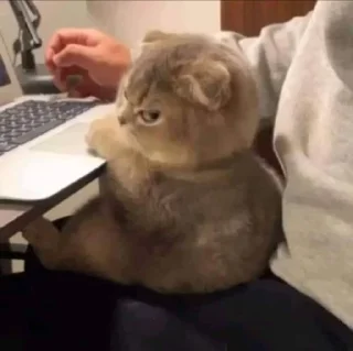 😠