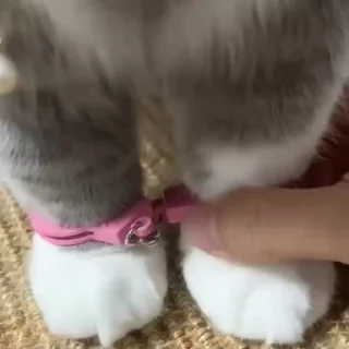 🎁
