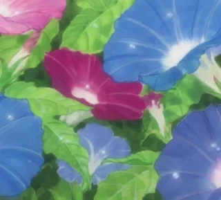 💐