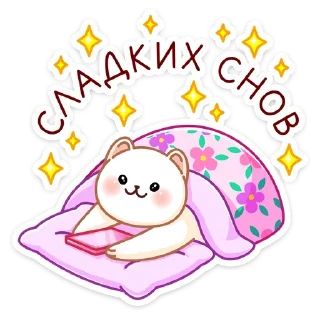 😴