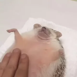 😏