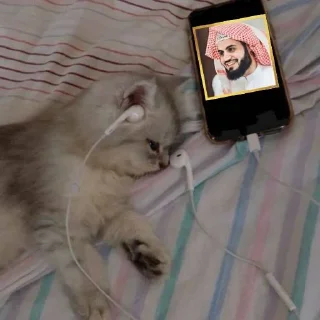 🥰