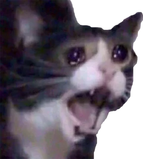😭