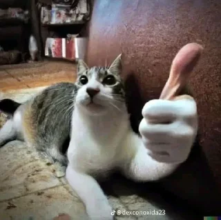 👍