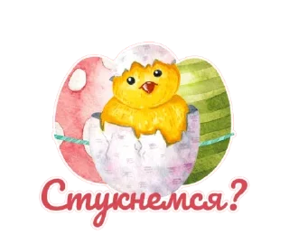 🐣