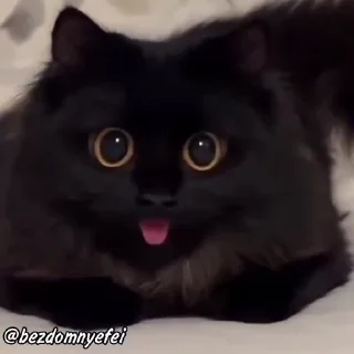 😳
