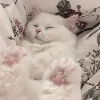 😴