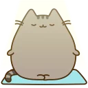 🐱