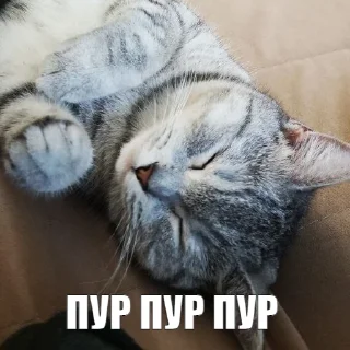 🥰
