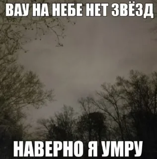 🧂