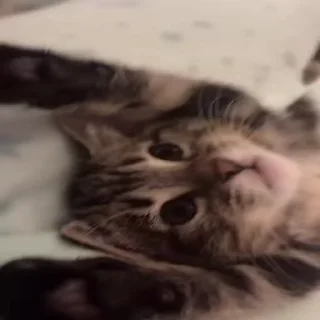 ☹️