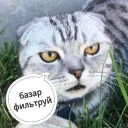 😠