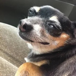 👍