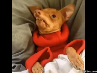 😳