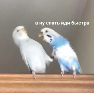 🤨
