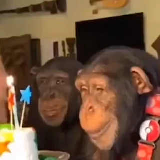 🎂