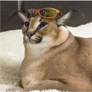 🤓