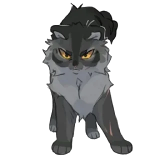 🐱
