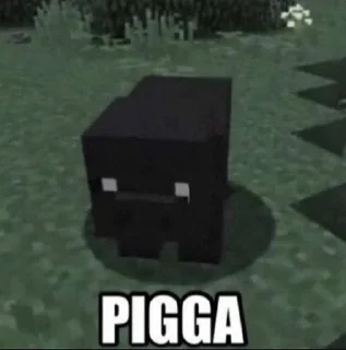 🌚