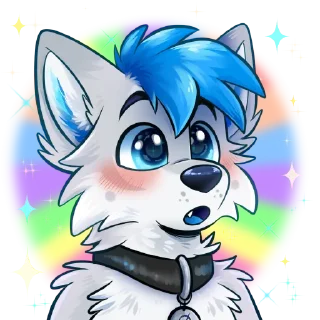✨