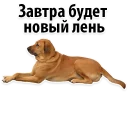 😁