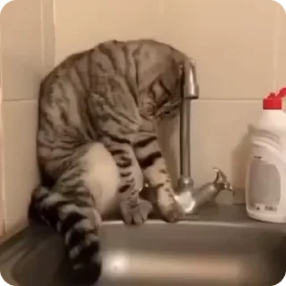 😢