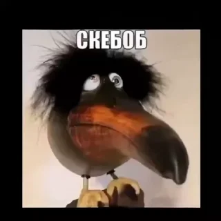 👮‍♂️