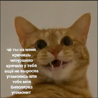 🤬