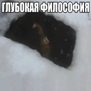 🗿