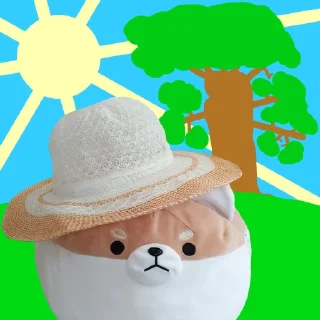 ☀