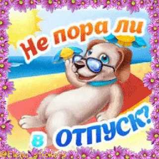 🐶