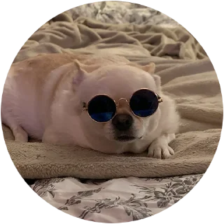 😎
