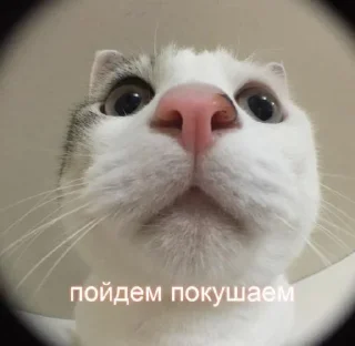 👀