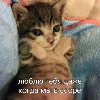 🥺