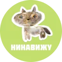 CreepyCats