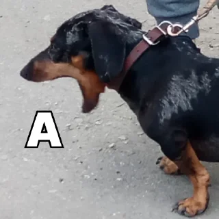 🫠
