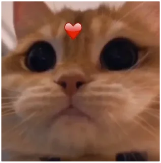 🥰