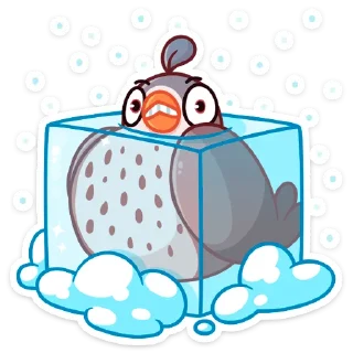 🥶