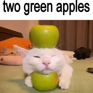 🐈