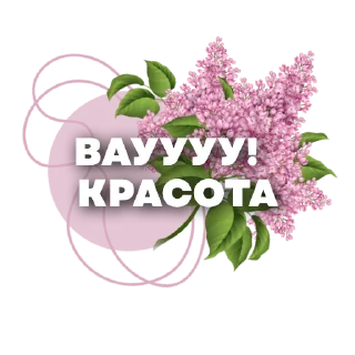 🌸