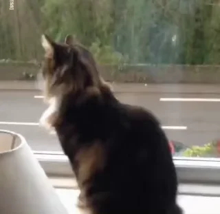 👋