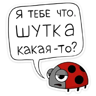 🐞