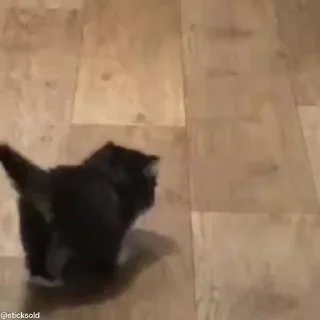 🥹