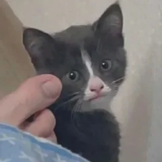 😌