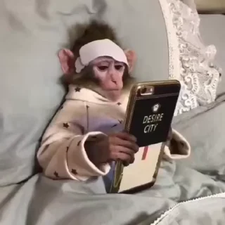 📱