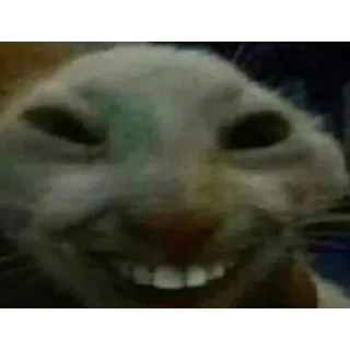 🥴