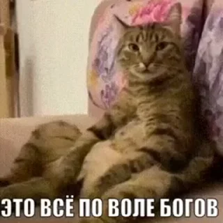 🫠