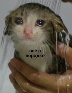 🥲