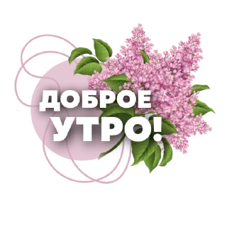 🌸